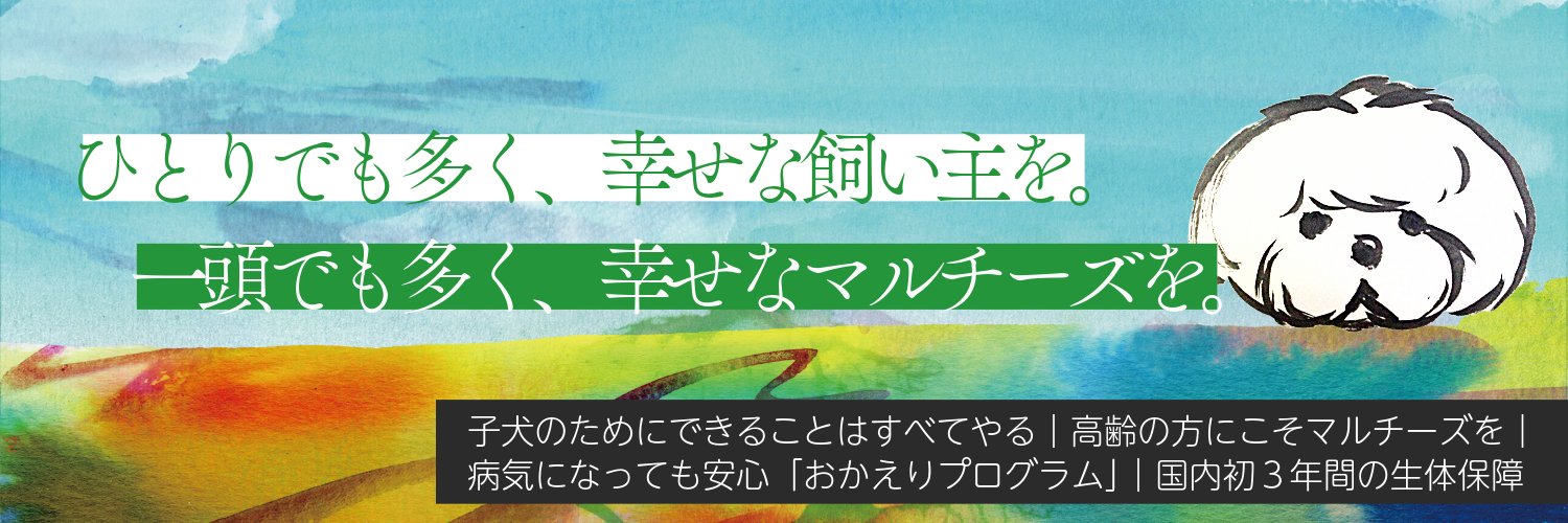 もりたさんちのマルチーズ's banner