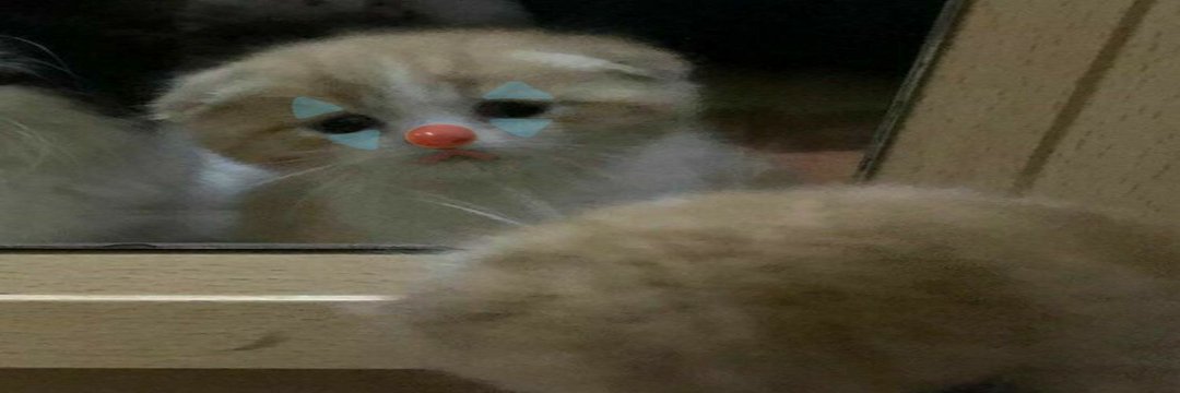 Ael badut 🗯's banner