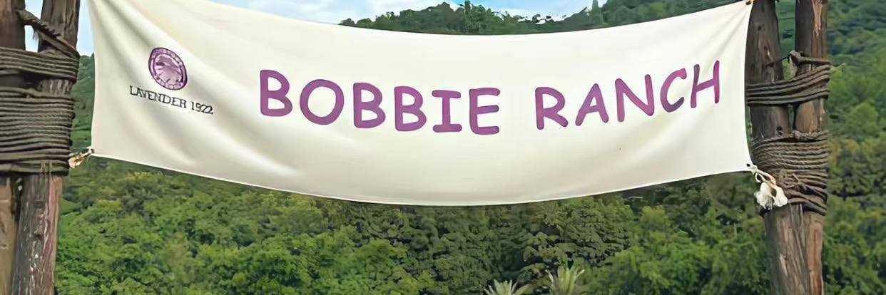 嚣张有点涩~'s banner