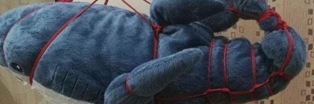 PicklePasta's banner