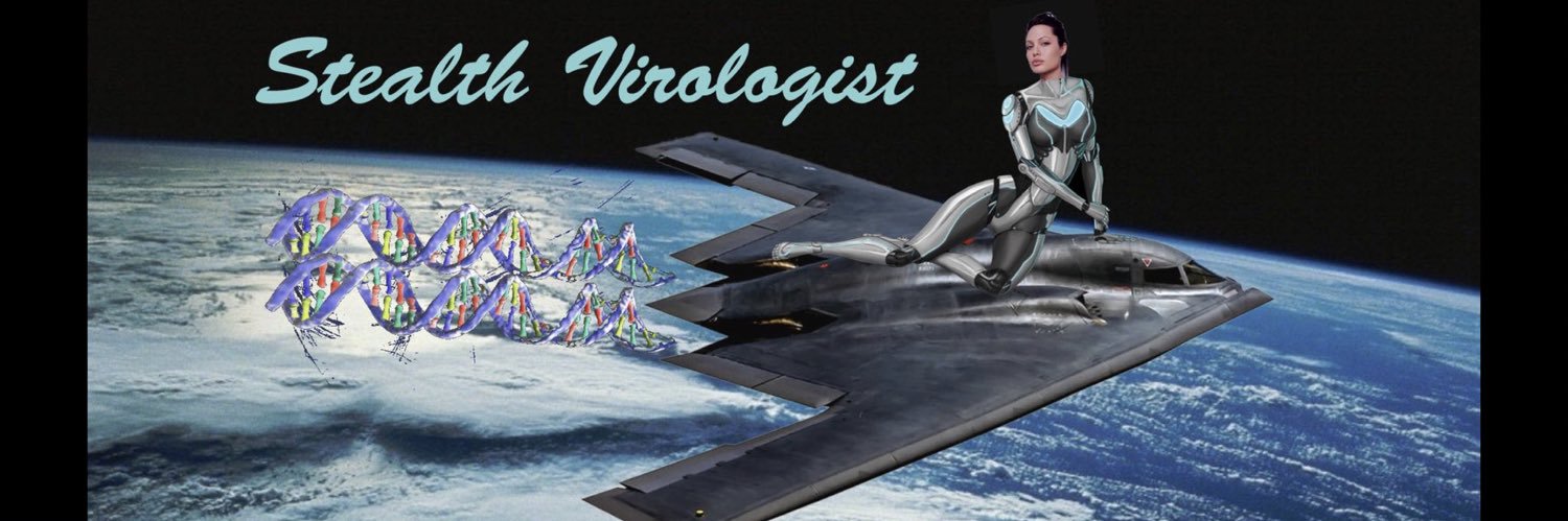 Stealth Medical's banner