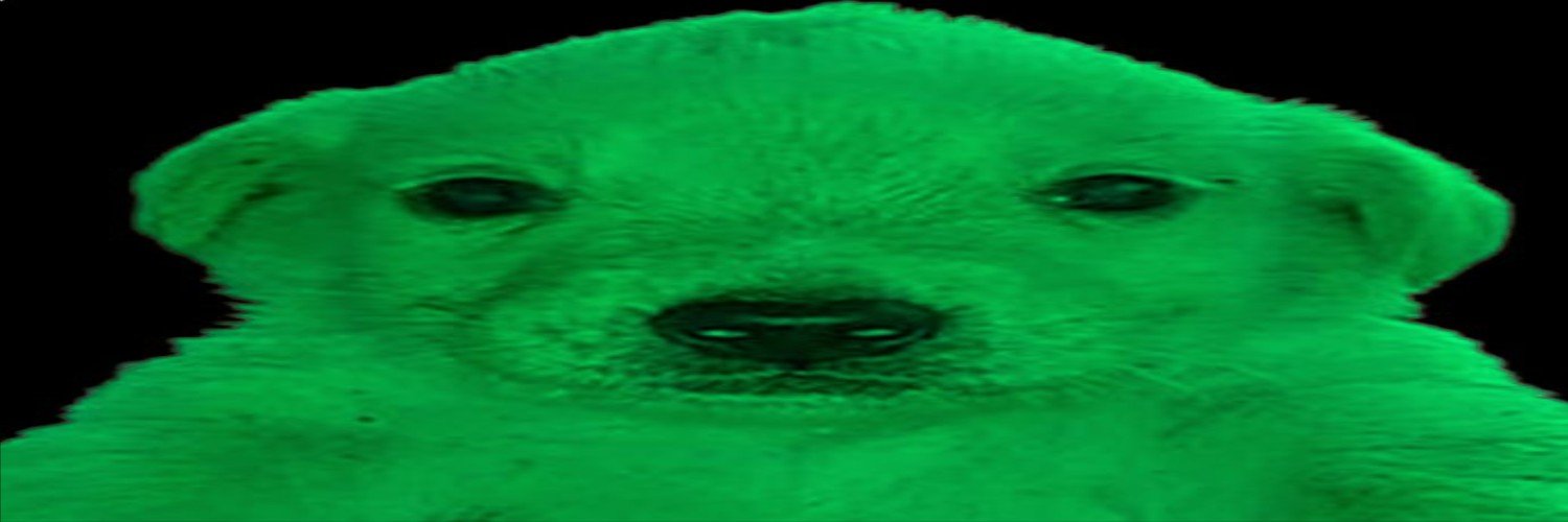 Perrito Traumado (verde)'s banner