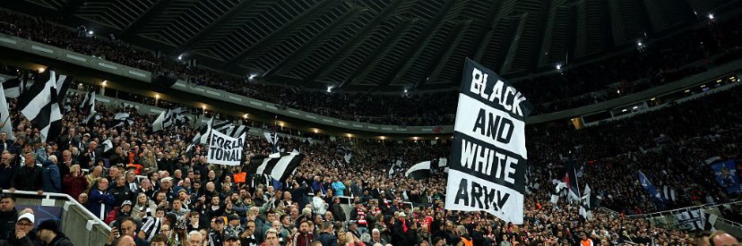 𖠌's banner