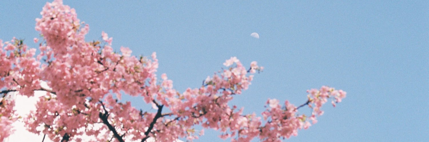 里菜's banner