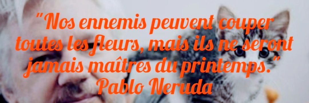 Neruda57 🐝🕊️🔻's banner