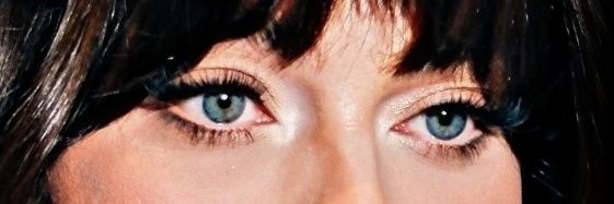 Meera🦋's banner