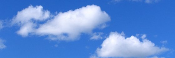 Ami Livnat's banner