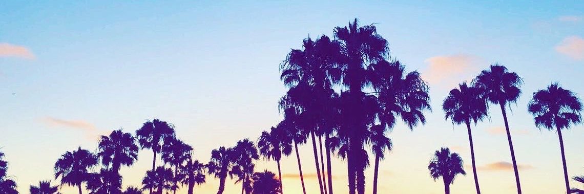 ˃ 𖥦 ˂'s banner