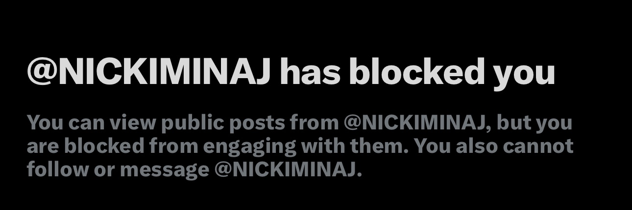 NICKI MEDIA's banner