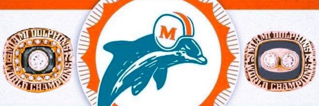 FMP 🐬 🏈's banner