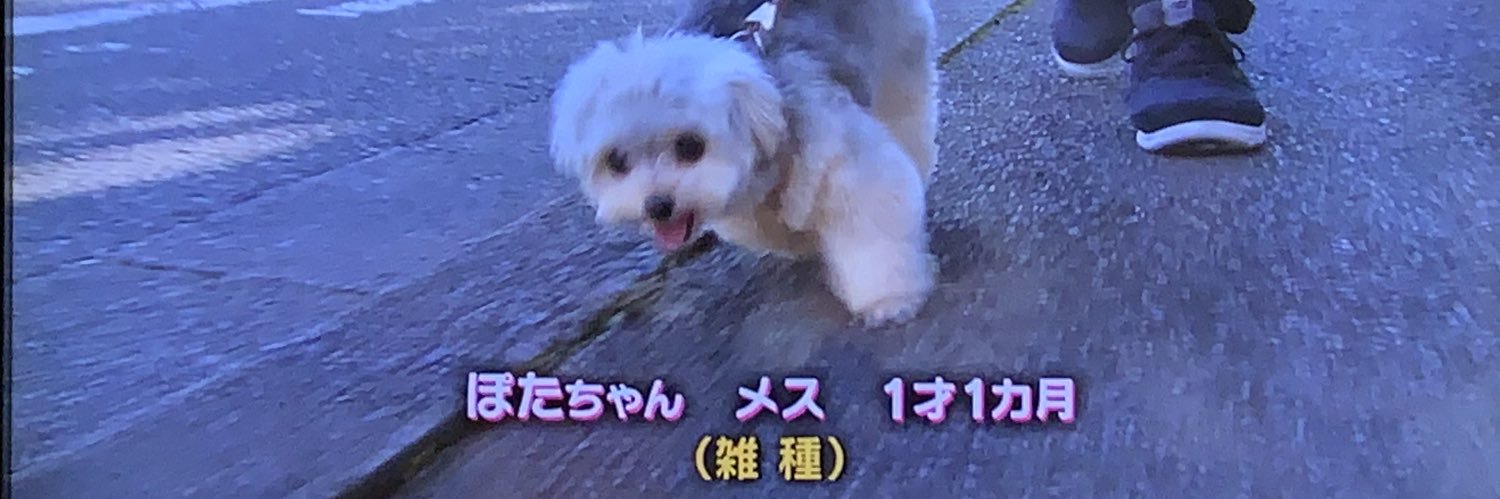 ぽた's banner