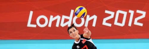 Voleybol Jürisi's banner