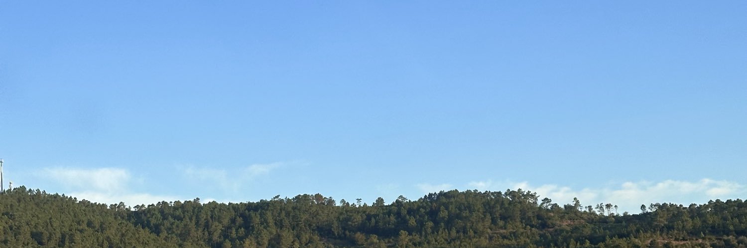 Tomás's banner