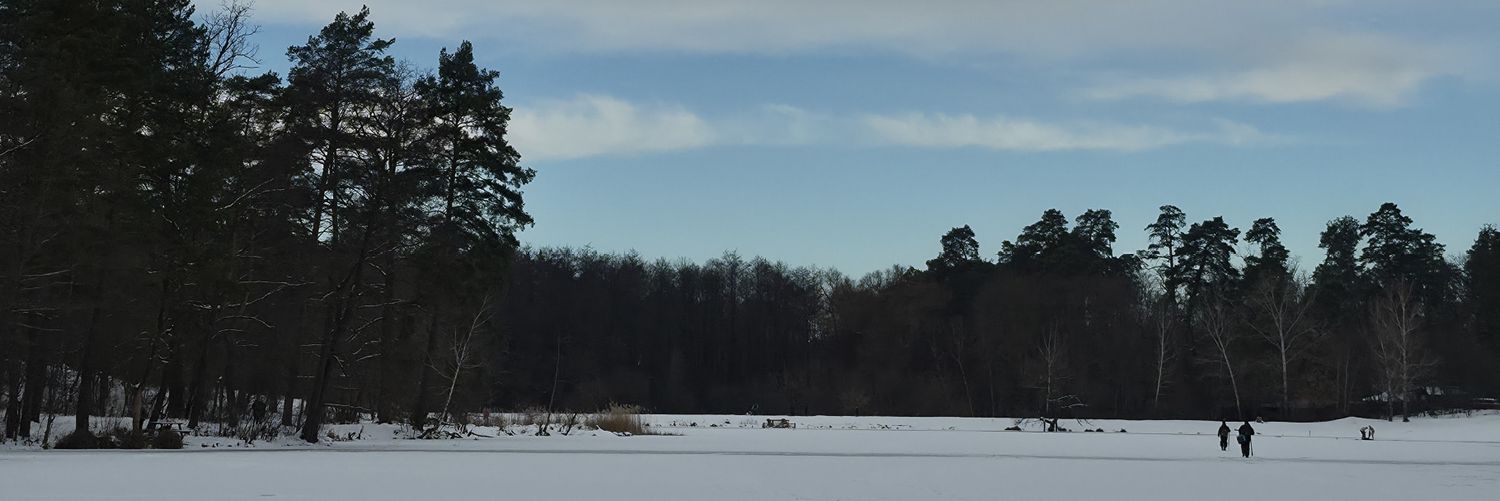 піца з ананасами's banner
