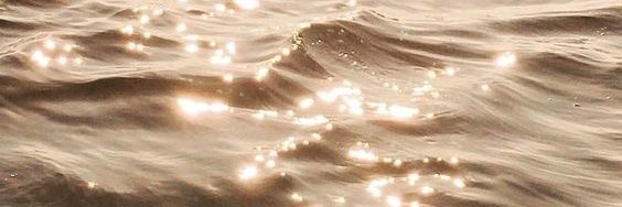 nesrinelle ✨️'s banner