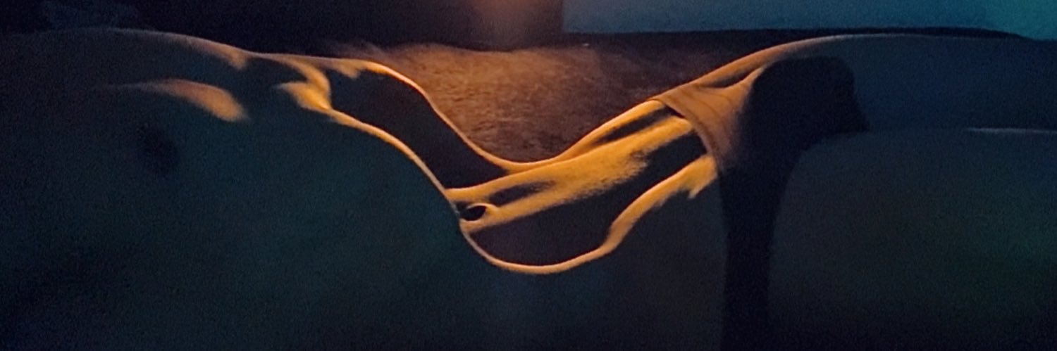 Sir_Vacuum's banner
