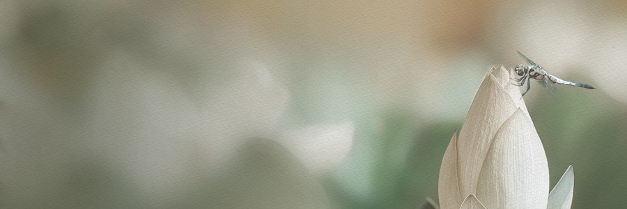晨钟暮鼓（互fo～'s banner