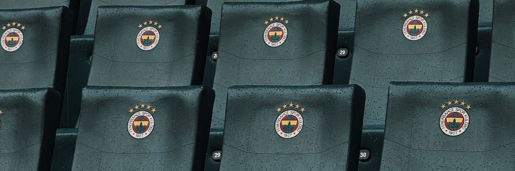 Fener Gaste's banner