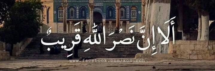 سفيرة العلم🕊️📚's banner
