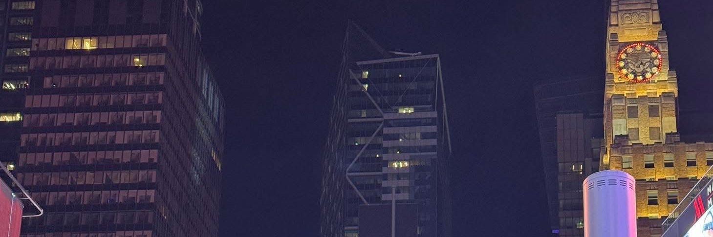 Salleri's banner