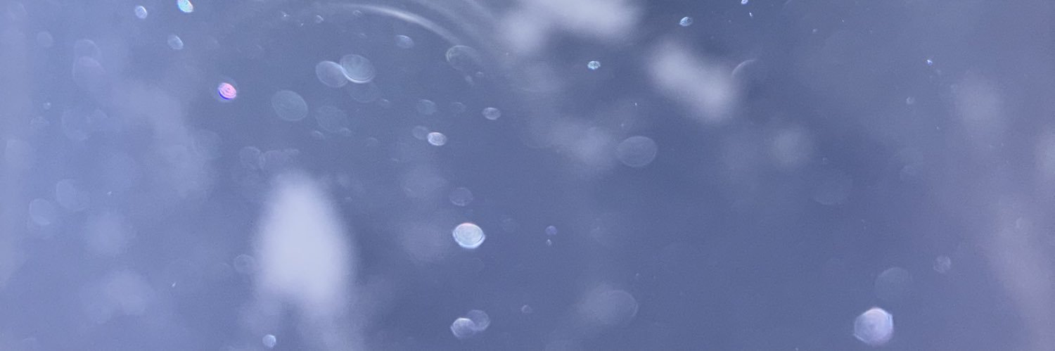 SADAME 運命's banner