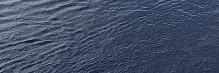 Lifeatsea's banner