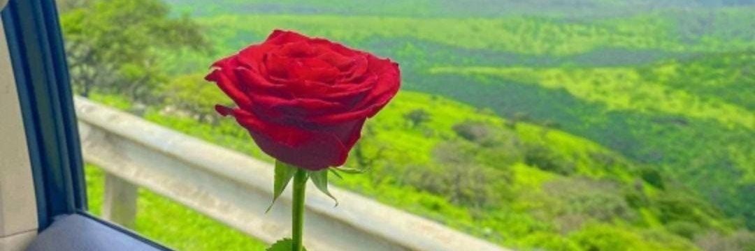 همس الشتاء's banner