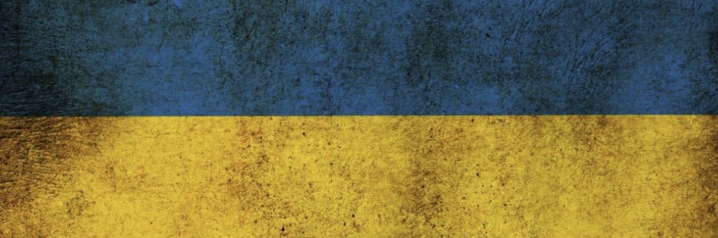 Дарія Астаф‘єва's banner