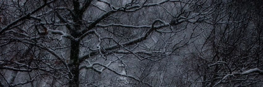 ۟'s banner