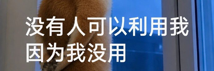 隐官's banner