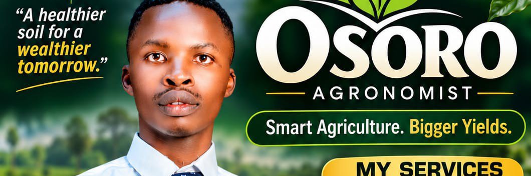 OSORO.'s banner