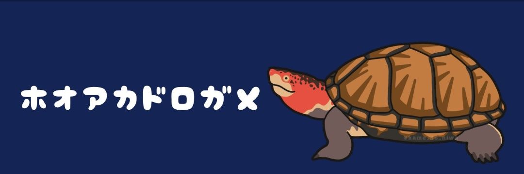 ブブ用心 🦎🐢🐸🐟🕊‎'s banner