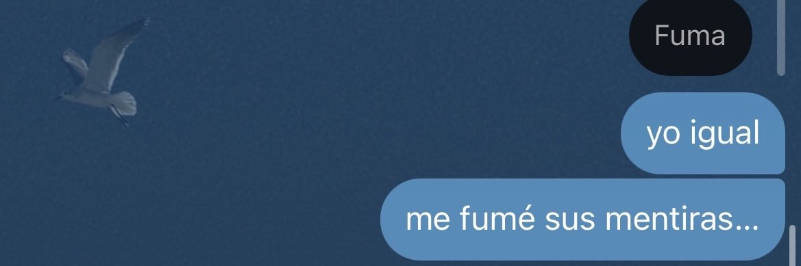 📿's banner