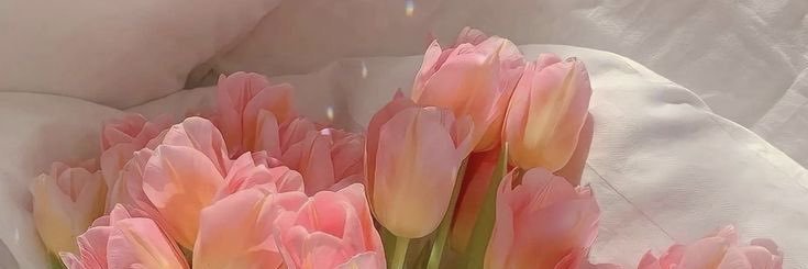 ❀ ӏօѵҽ ❀'s banner