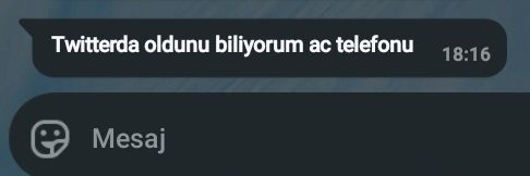 sümeyra's banner