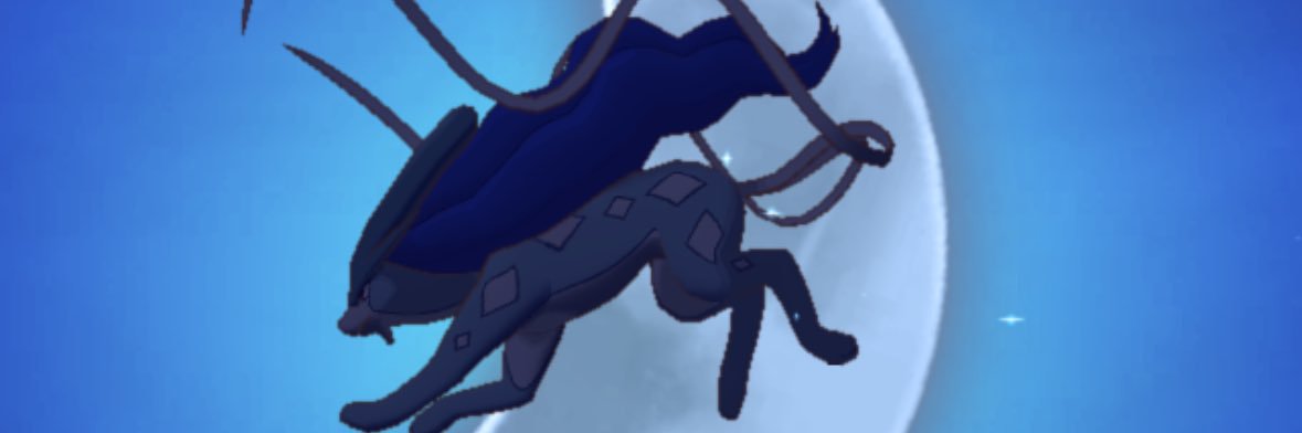 ぬぃぬぃ Shinyhunter✨️'s banner