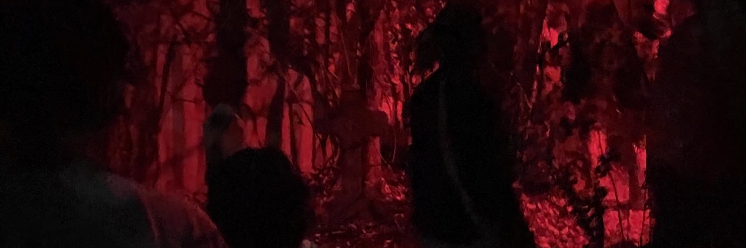 𝔪𝔢𝔩🕷️'s banner