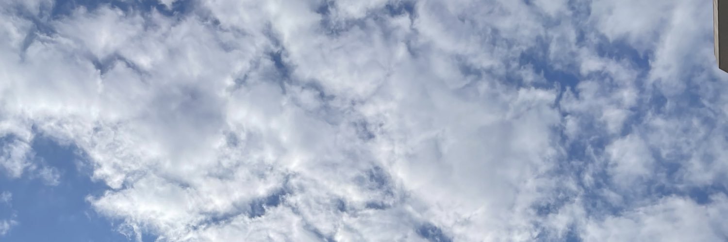 R's banner