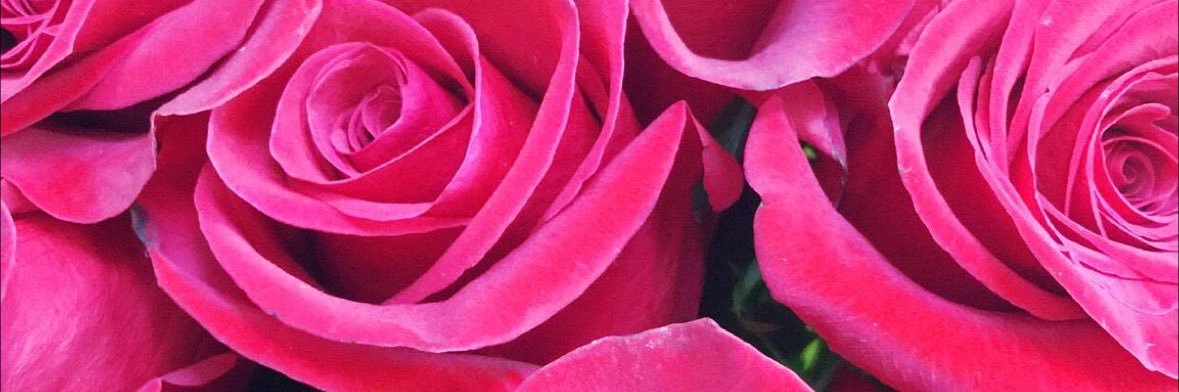 Kali roses's banner