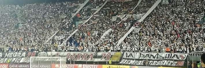 Franjeado Soy 79.90.02's banner