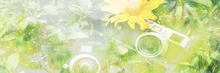 koi 🍰 angel's banner