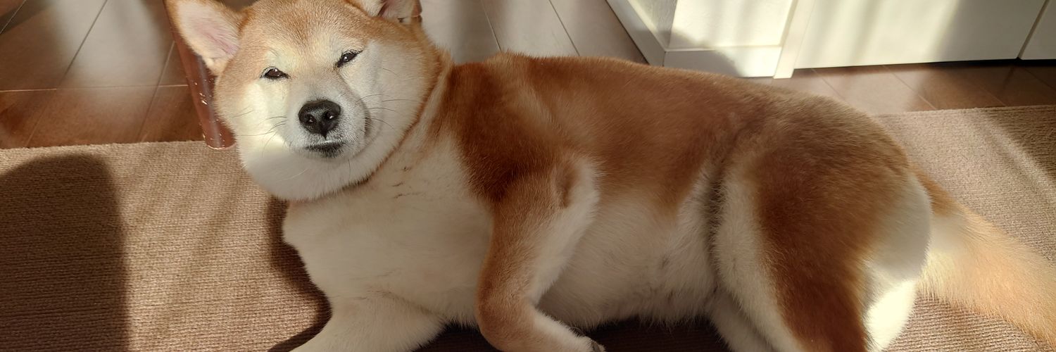 幸（Sachi）'s banner