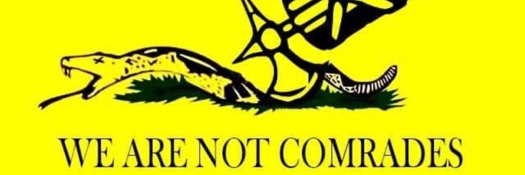 Tinou's banner