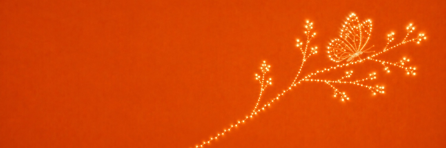 Gökdeniz Gülmez's banner