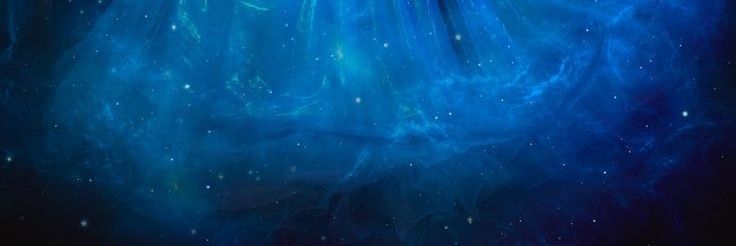 🦋's banner