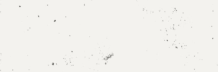 ᴀssɪʏ's banner