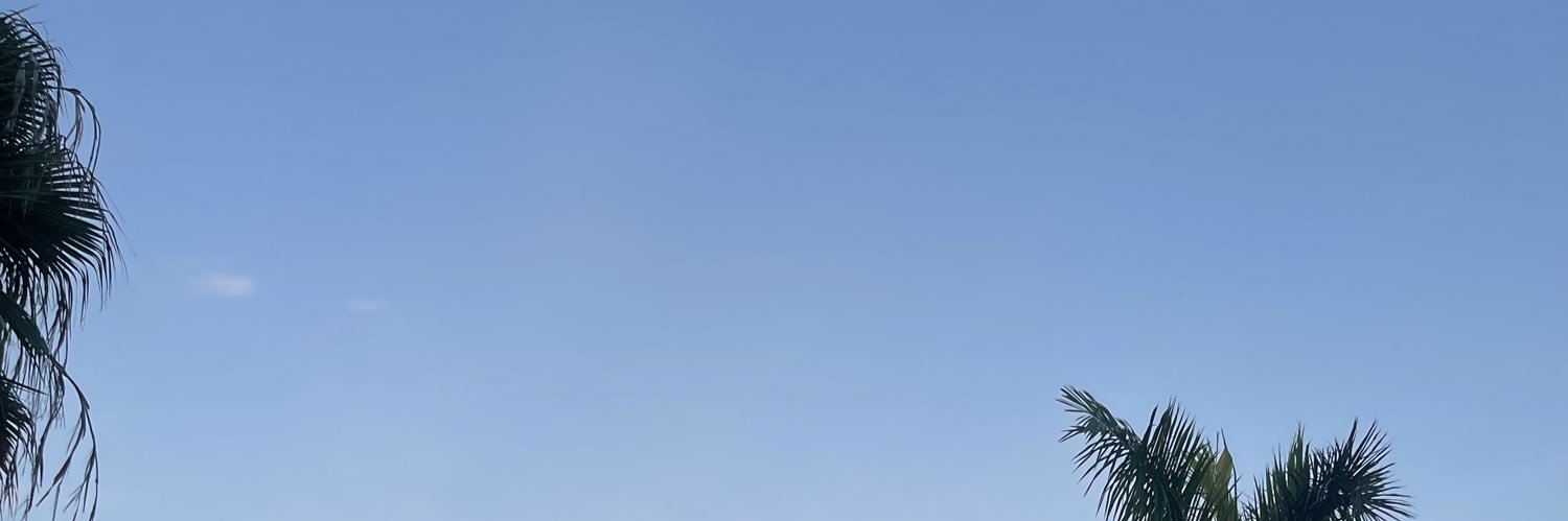枝枝's banner