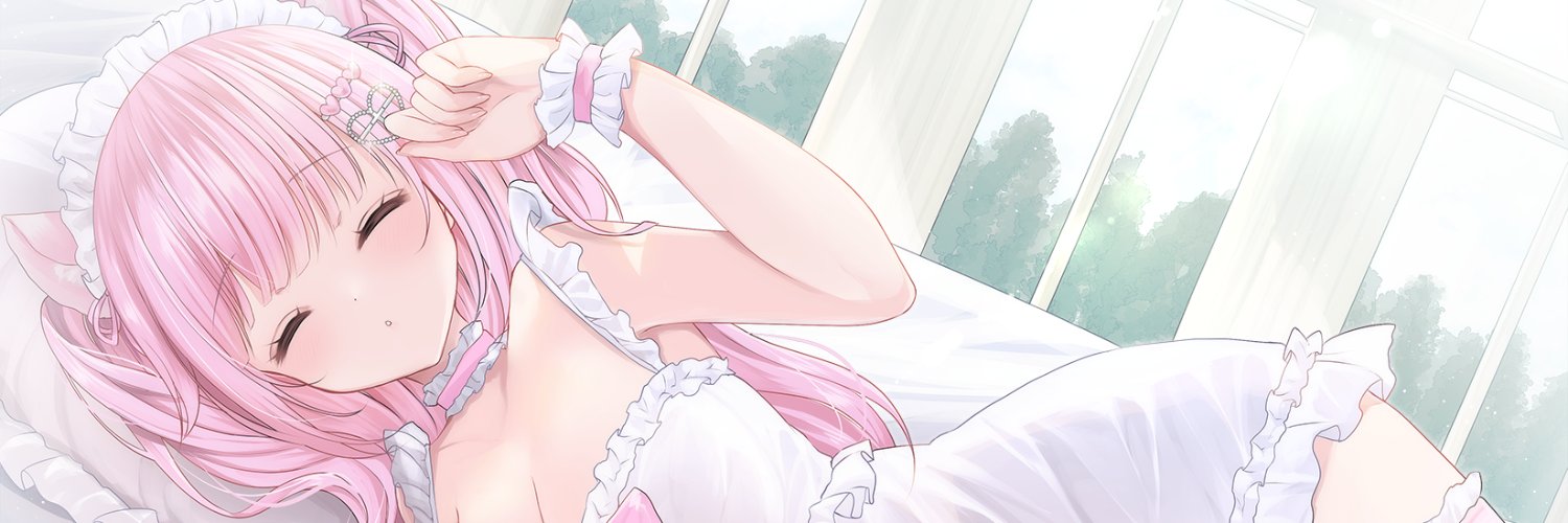 癒守なにゃ❤︎*°'s banner