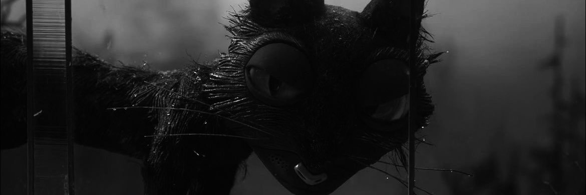 𝙬𝙖𝙨𝙖𝙞𝙛's banner