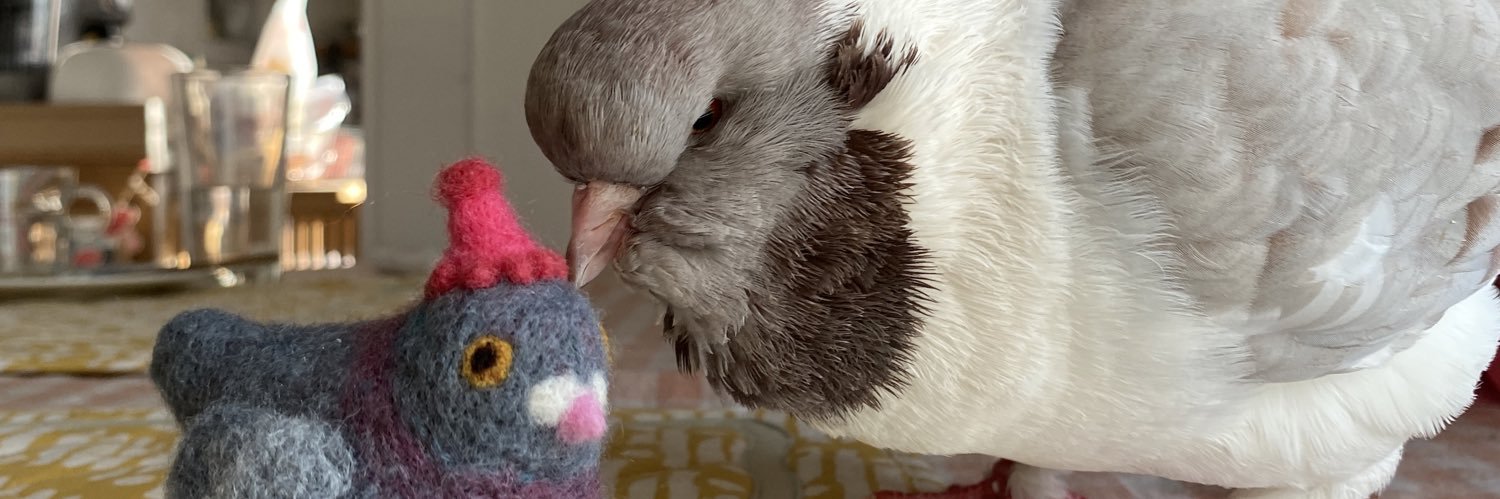 Masha the pigeon's banner